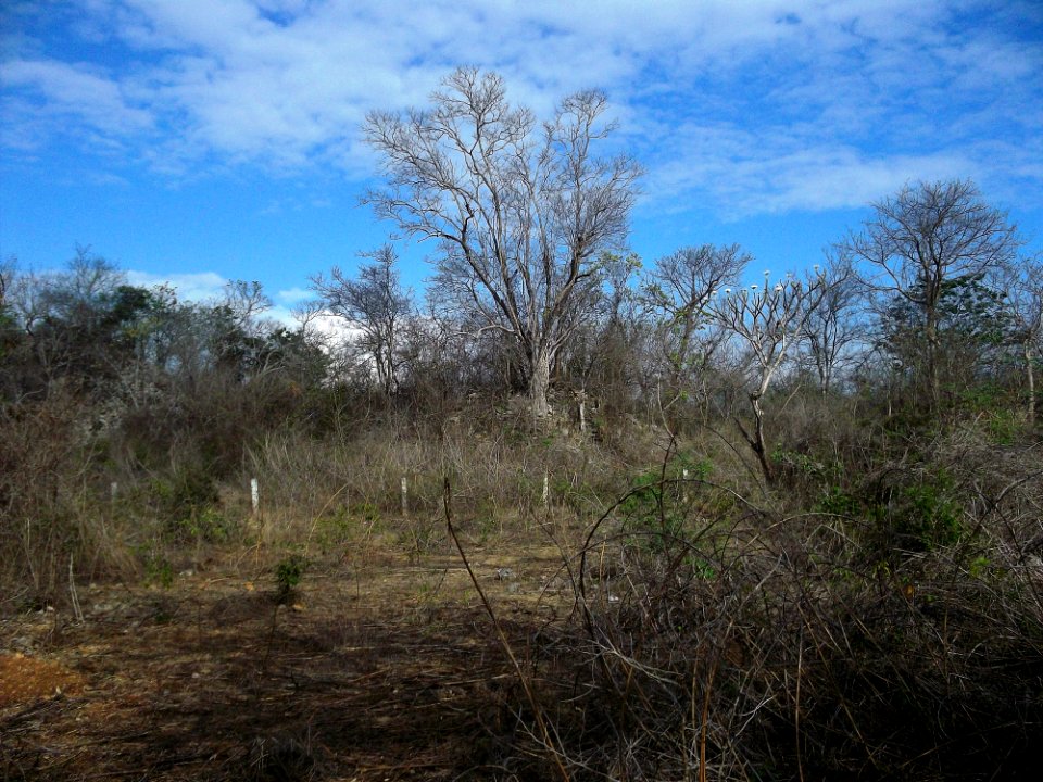 Xcatmil, Yucatán (11)