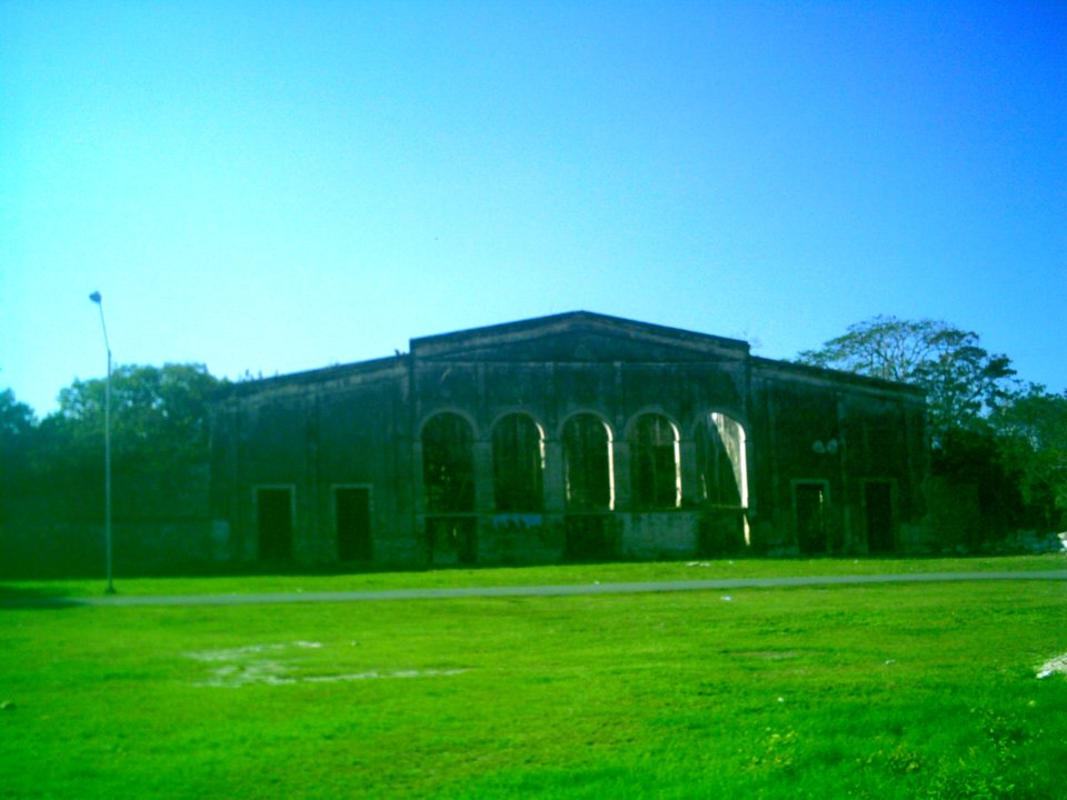 Xcunyá (Mérida), Yucatán (12)