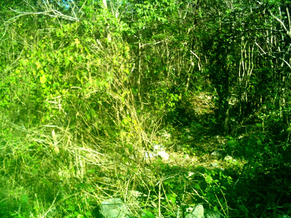 Xcunyá (Mérida), Yucatán (31)
