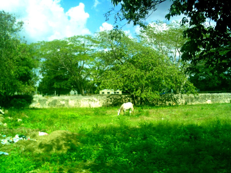 Xcuyún, Yucatán (31)