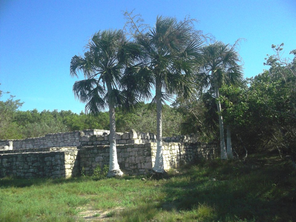Xcambó, Yucatán (29)