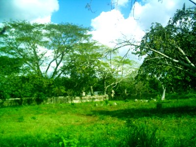 Xcuyún, Yucatán (30)