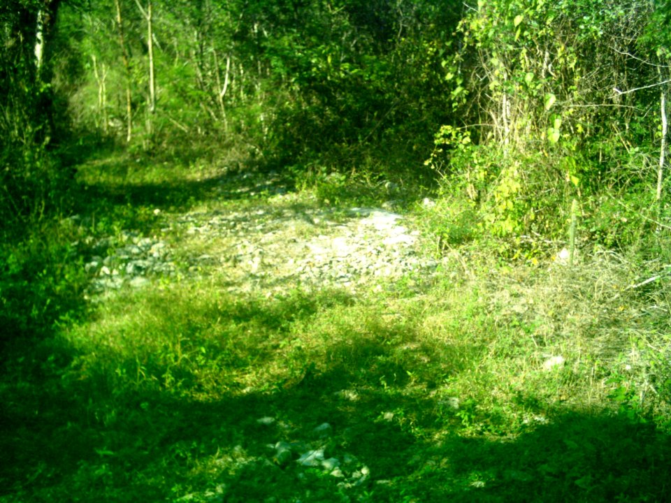 Xcunyá (Mérida), Yucatán (32)