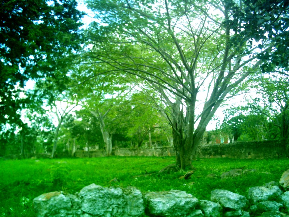 Xcuyún, Yucatán (36)