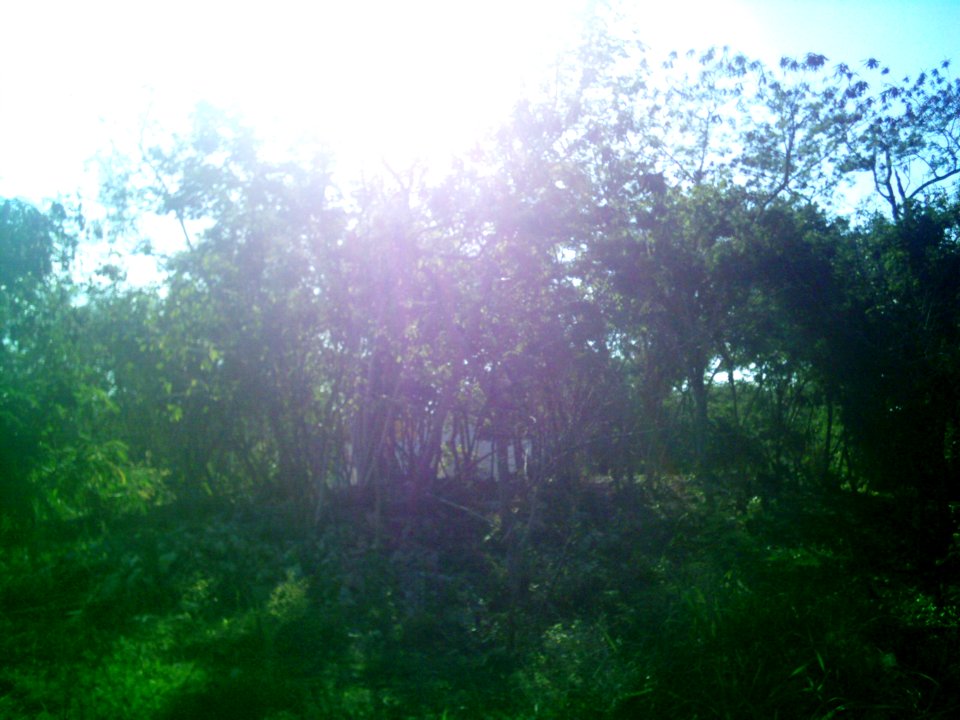 Xcunyá (Mérida), Yucatán (30)