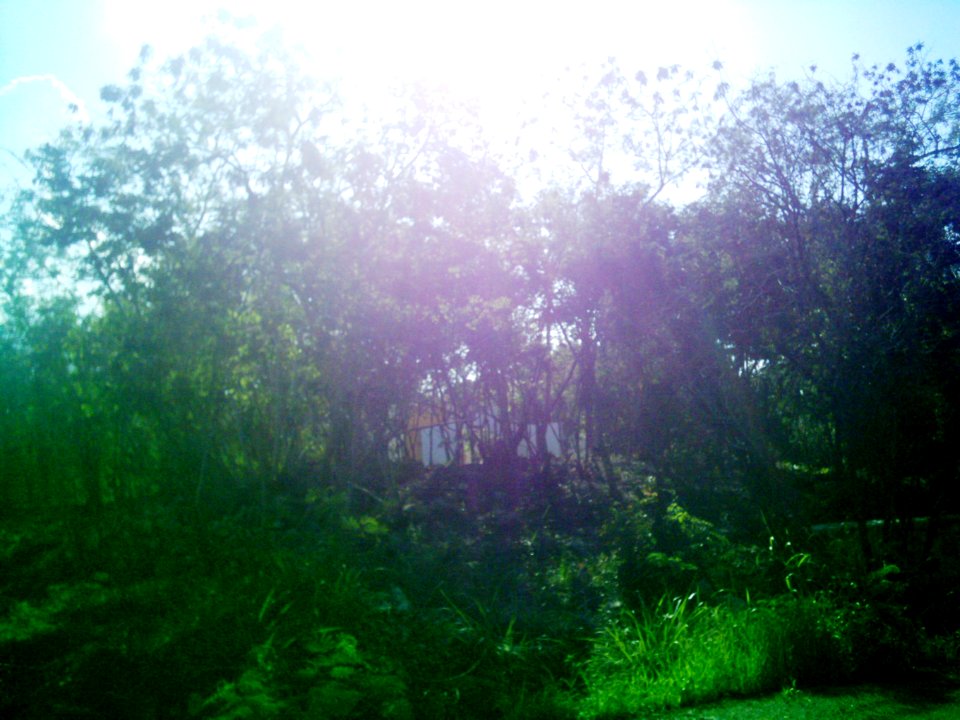 Xcunyá (Mérida), Yucatán (29)