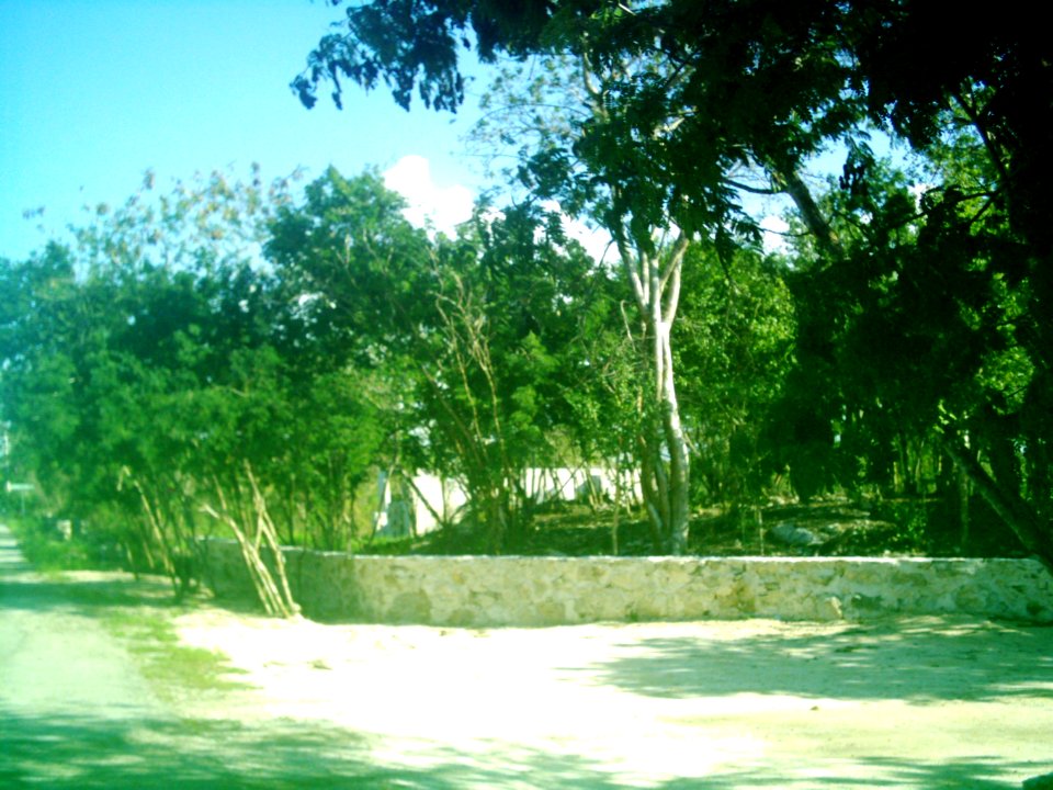 Xcunyá (Mérida), Yucatán (25)