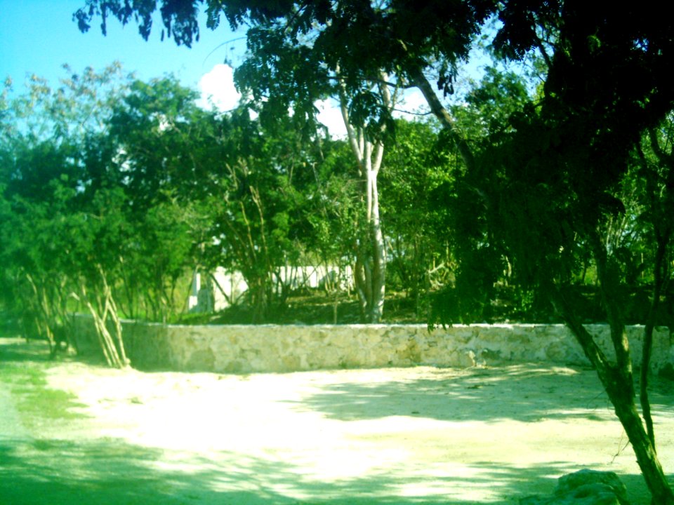 Xcunyá (Mérida), Yucatán (26)