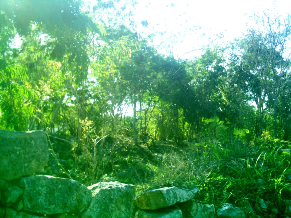 Xcunyá (Mérida), Yucatán (37)