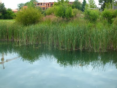 Wzwz Prinzenpark 07