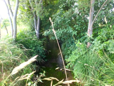 Wzwz Reschenbach 01