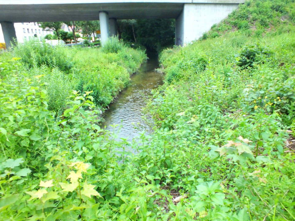 Wzwz Reschenbach 11