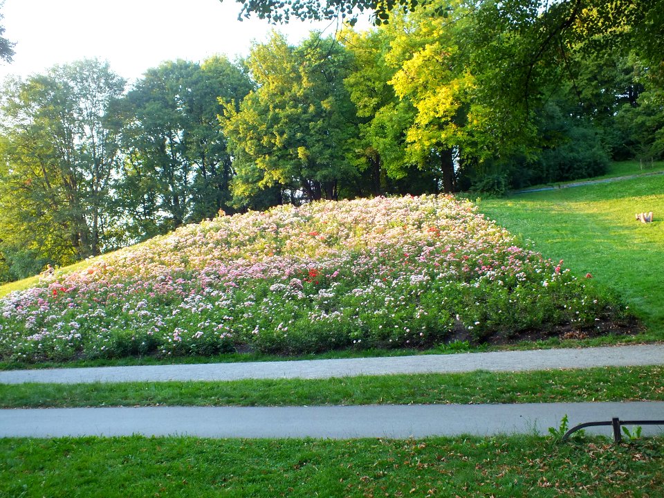 Wzwz park m luitpold 24