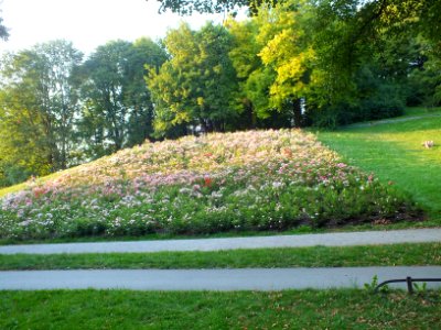 Wzwz park m luitpold 24