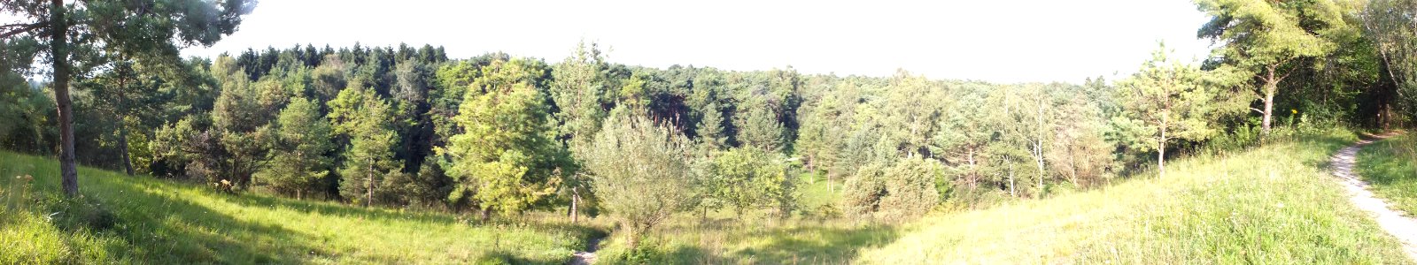 Wzwz Schwarzhoelzl 02