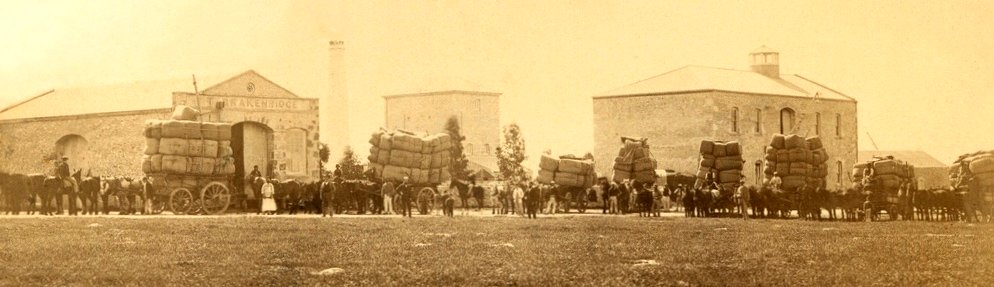 Wool wagons at Milang, about 1876 (SLSA B 8284) photo