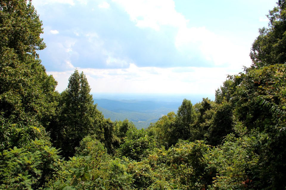 Woody Gap View, Sept 2015
