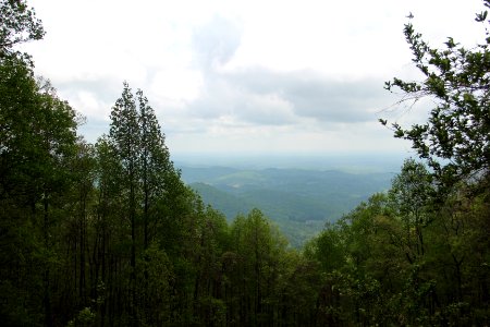 Woody Gap view, April 2017 photo