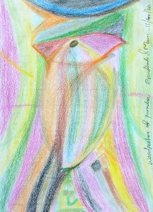 Woodpecker of paradise 