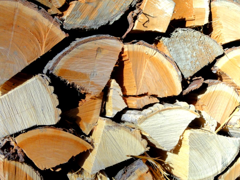 Woodpile textures - Vermont - DSC03219