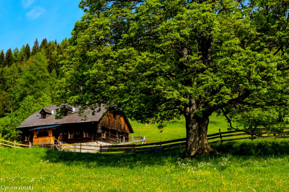 Wooden House In The Alps Austria (183602997)