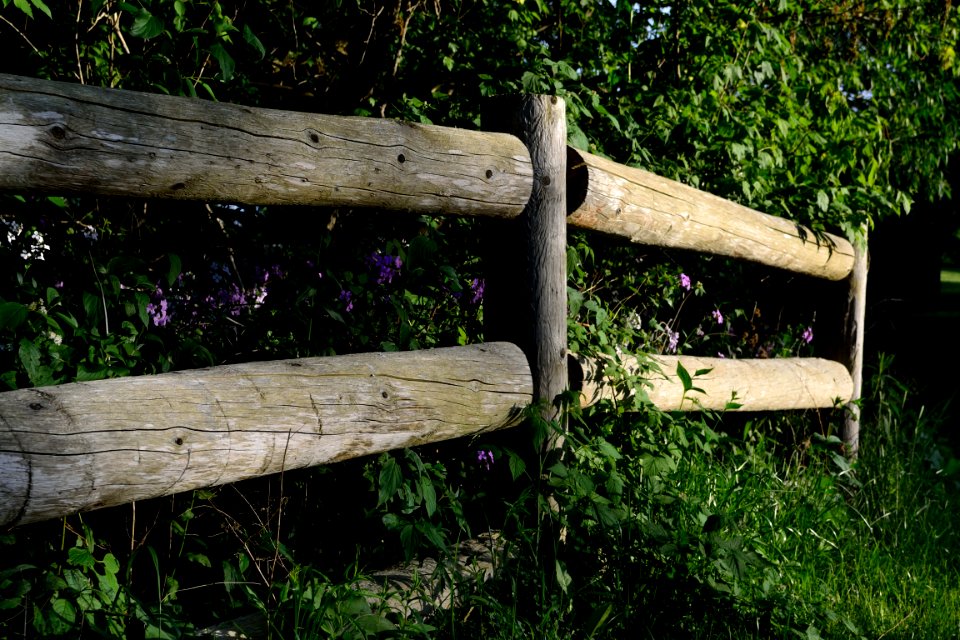 WoodenFenceMilneDamPark