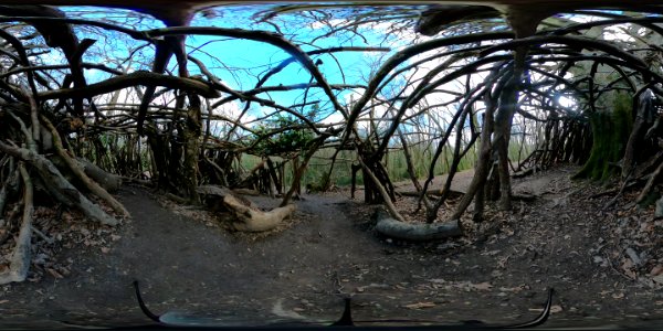 Wooden structure, Highwoods, Bexhill (360 panorama) photo
