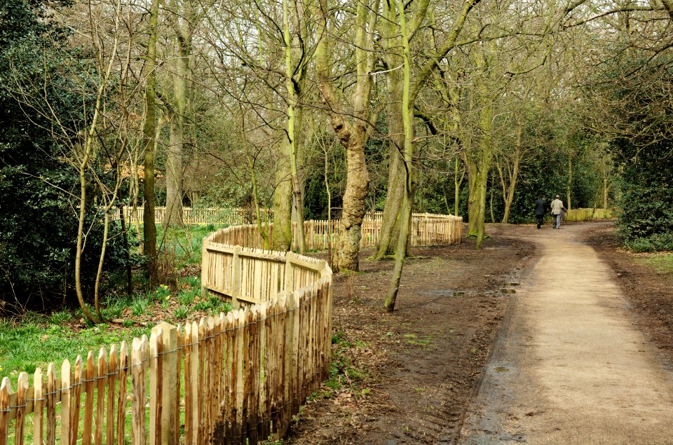 Wooden-fence-Holland-Park-20060330-009
