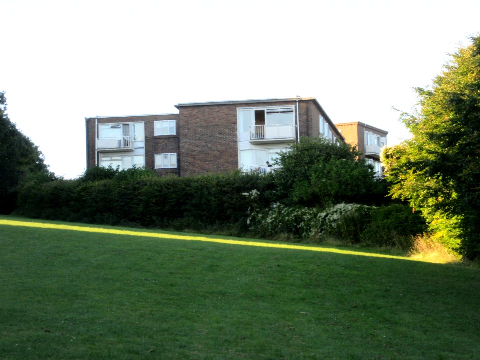 Woodland Court flats, Woodland Drive, Hove (seen from Three Cornered Copse) (August 2016)
