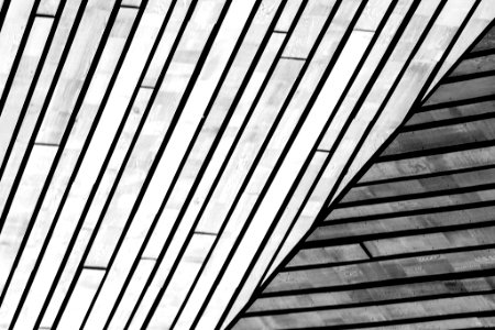 Wooden Roof (69093393)