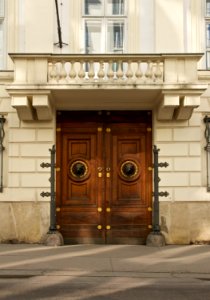 Wooden door lion heads Vienna photo