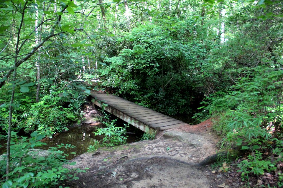 Wooden pedestrian bridge, Paris Mountain State Park June 2019