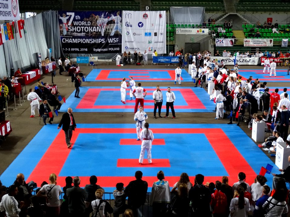 World Shotokan Championships WSF Bydgoszcz 2016v 2 4-2016