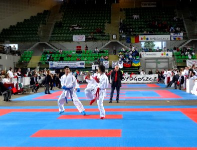 World Shotokan Championships WSF Bydgoszcz 2016w 10 4-2016