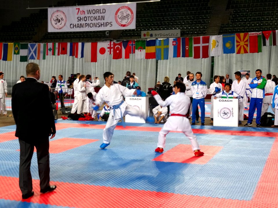 World Shotokan Championships WSF Bydgoszcz 2016w 5 4-2016