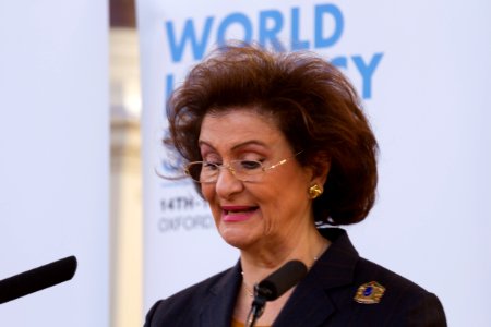 World Literacy Summit 2014 - Haifa Fahoum Al Kaylani