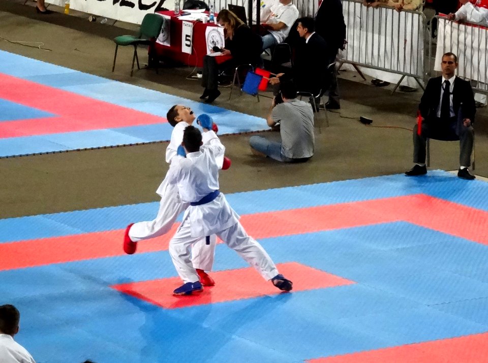 World Shotokan Championships WSF Bydgoszcz 2016w 3 4-2016