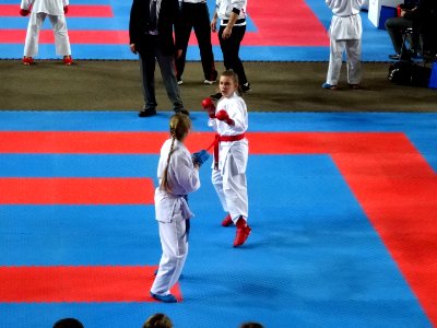 World Shotokan Championships WSF Bydgoszcz 2016w 4 4-2016