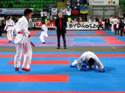 World Shotokan Championships WSF Bydgoszcz 2016w 11 4-2016