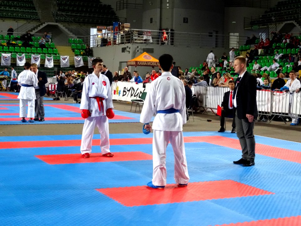 World Shotokan Championships WSF Bydgoszcz 2016w 1 4-2016