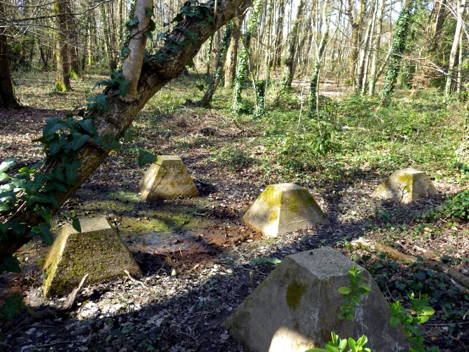 World War 2 Anti-tank Cubes, Peartree Lane, Bexhill