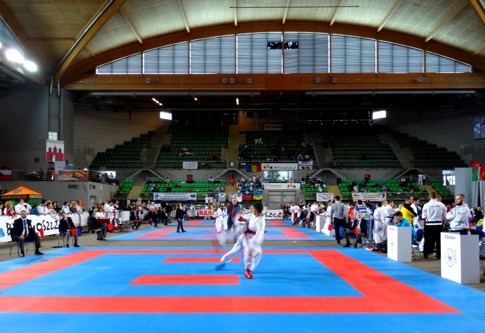 World Shotokan Championships WSF Bydgoszcz 2016v 6 4-2016
