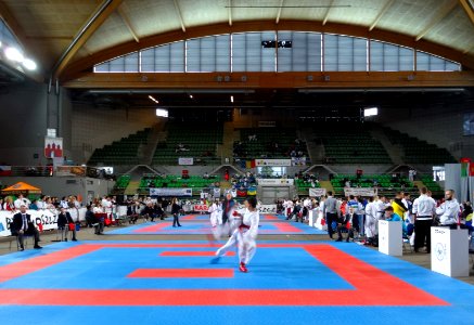 World Shotokan Championships WSF Bydgoszcz 2016v 6 4-2016