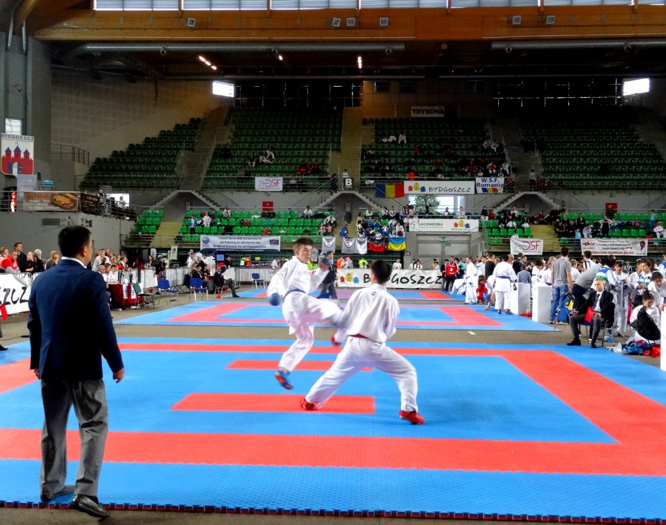 World Shotokan Championships WSF Bydgoszcz 2016w 12 4-2016