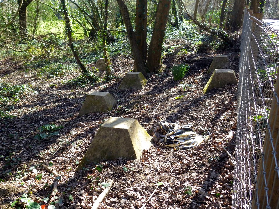 World War 2 Anti-tank Cubes, Peartree Lane, Bexhill (2)