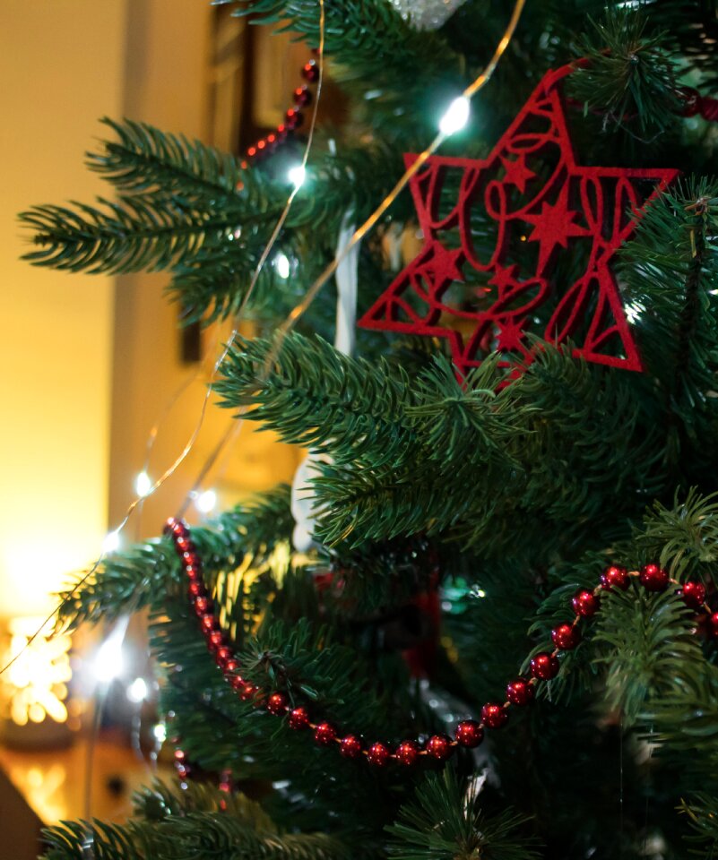 Fir tree christmas tree