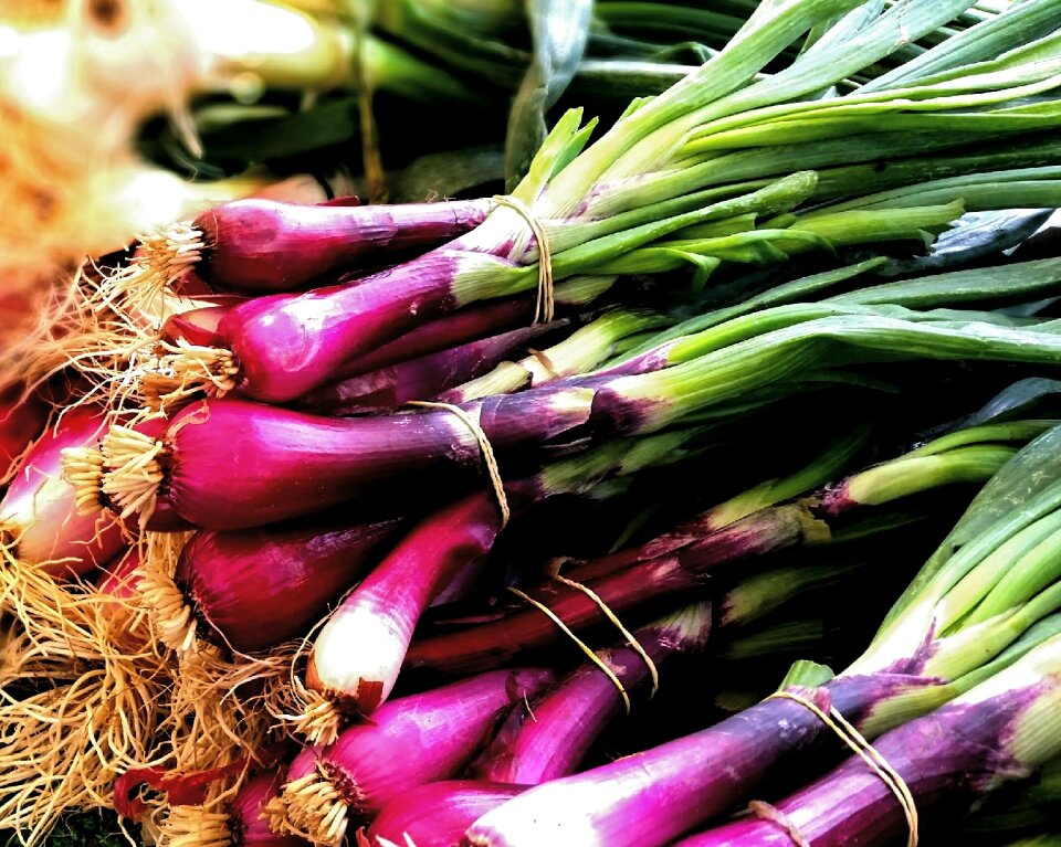 Root market cooking