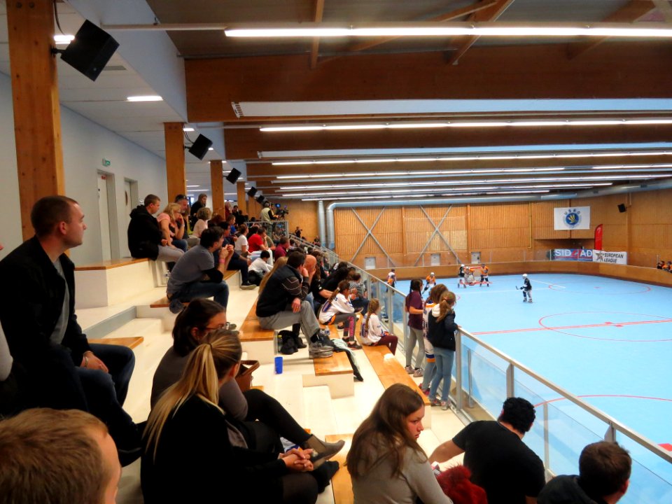 Women European League Roller Hockey 2017 - Ris Orangis vs Rubi - 28