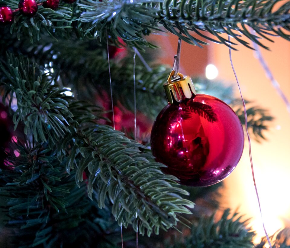 Celebration sphere fir