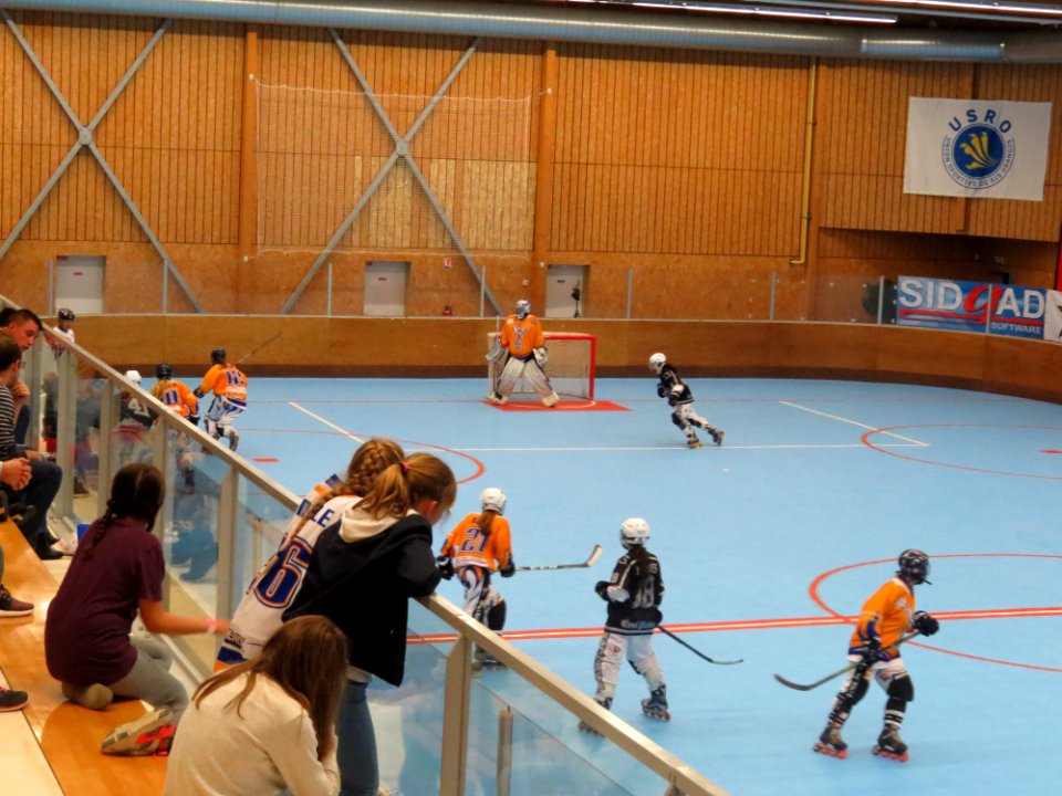 Women European League Roller Hockey 2017 - Ris Orangis vs Rubi - 45